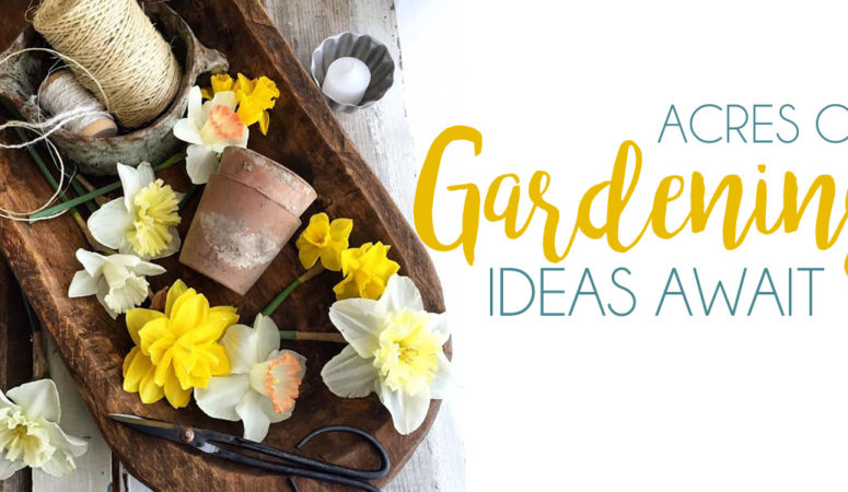 Gardening Ideas, Tips and Tricks